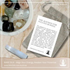 The Aligned for Success Bundle