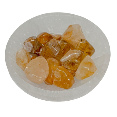 GOLDEN HEALER (Crystal Tumbles) - Image 2