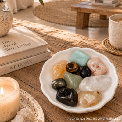The Aligned for Success Bundle
