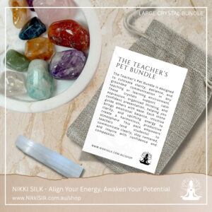 The Teacher’s Pet Bundle