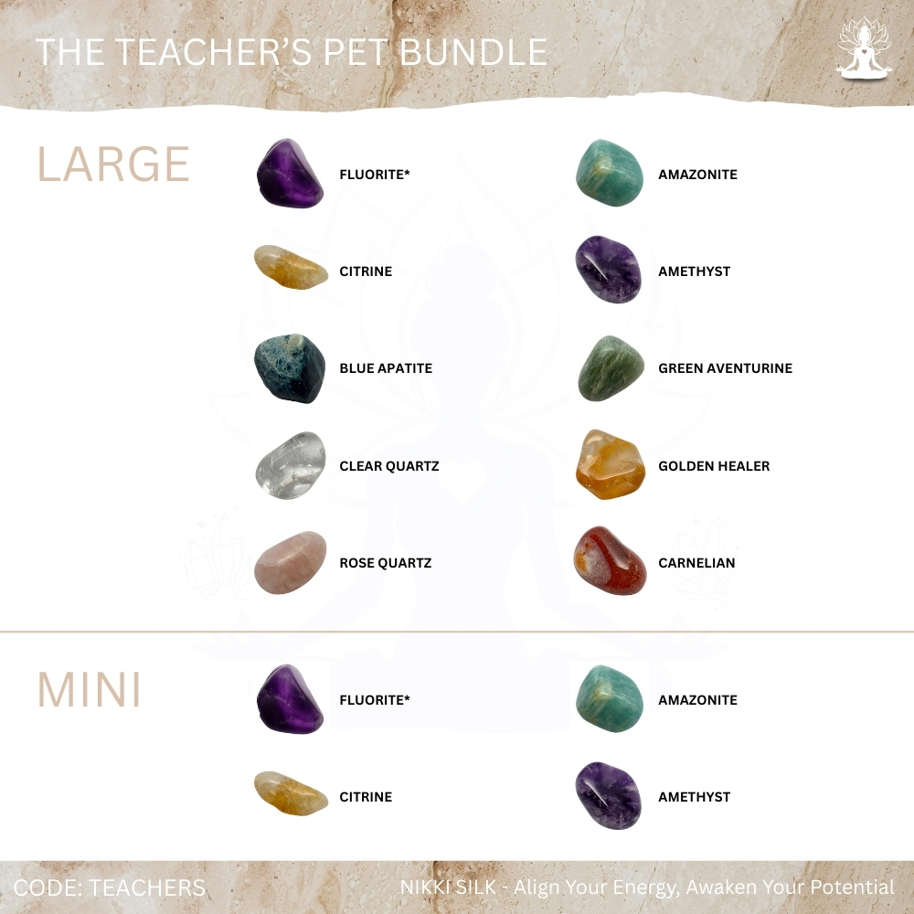 The Teacher’s Pet Bundle - Image 4