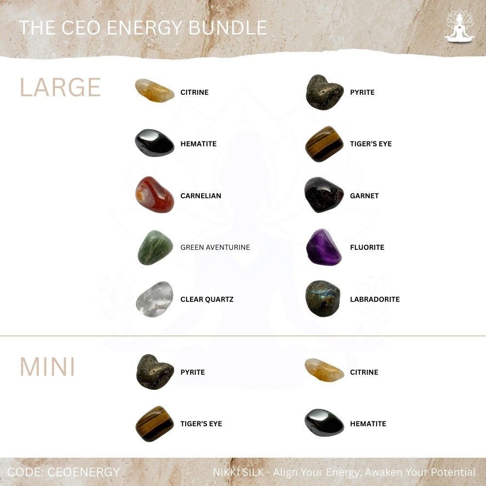 The CEO Energy Bundle - Image 4