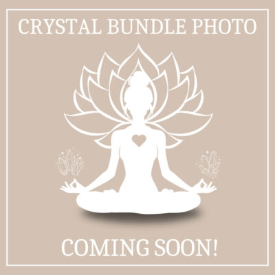 The Abundance Empire Premium Bundle