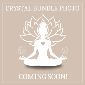 The Abundance Empire Bundle