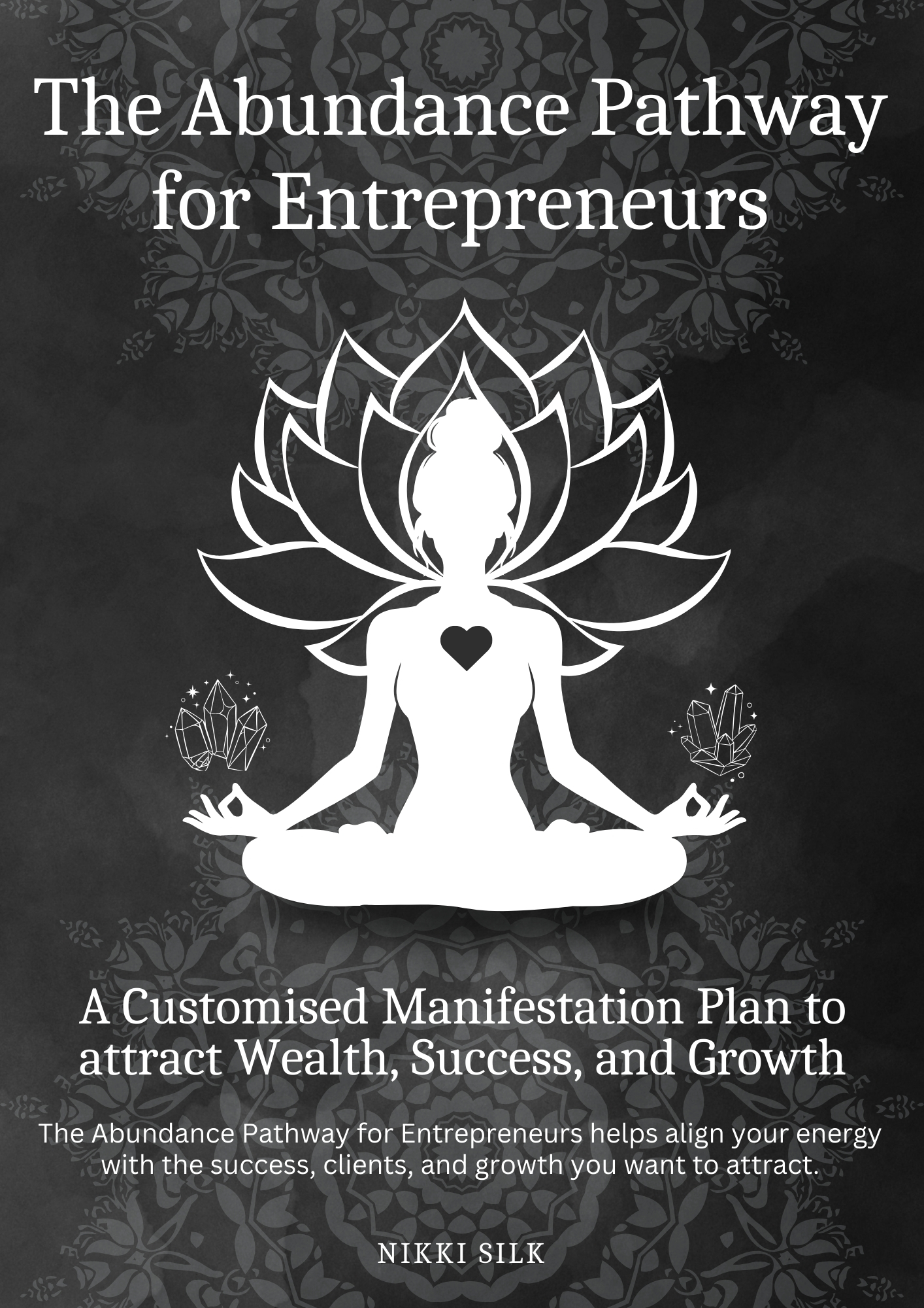 The Abundance Pathway for Entrepreneurs